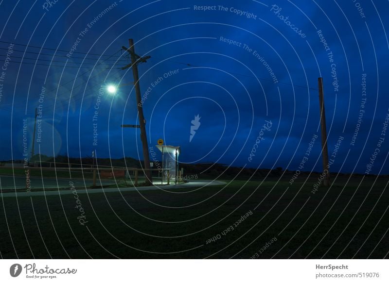 Bus stop at blue hour Sydney Australien Stadtrand Personenverkehr Öffentlicher Personennahverkehr Busfahren Straße gruselig kalt blau grau schwarz Einsamkeit