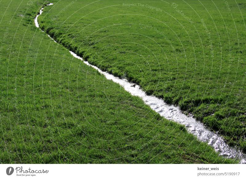 Ein Bach fließt durch eine grüne Wiese und bietet fließendes Wasser der Natur Fluss Ufer Garten Landschaft Rinnsal Bächlein Rasen Park Gras Weide Menschenleer