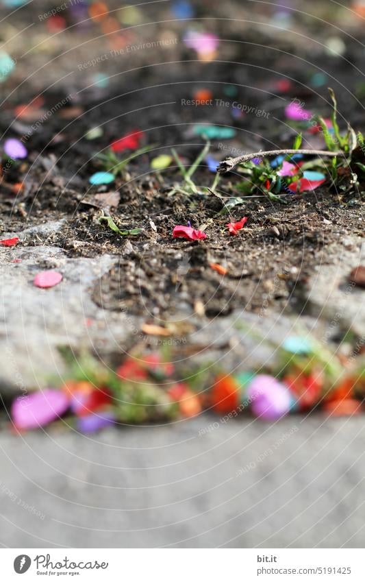 kunterbunt I bunte Konfetties auf dem Boden Kontrast Überbleibsel traditionell Tradition bunt gemischt Tiefenschärfe unscharfer Hintergrund Freizeit & Hobby