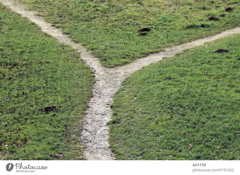 Ypsilonweg auf der Wiese Landschaft von oben gesehen Fußweg Abzweigung Wege & Pfade kreuzen Richtung schmaler Weg Ausschnitt Flächen drei Flächen