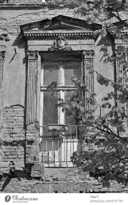 ein Balkonfenster ohne Balkon Altbau Berlin Prenzlauer Berg s/w Fenster unsaniert Gebäude Altstadt Tag Schwarzweißfoto Hauptstadt Stadtzentrum Haus Architektur