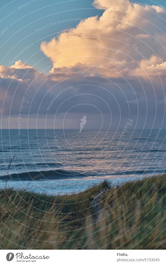 Wolken vor blauem Himmel an der Jammerbucht Nordsee Brandung Nordseeküste Welle Meer Ozean fliegen Strand Gischt Küste Wellen Natur Wasser