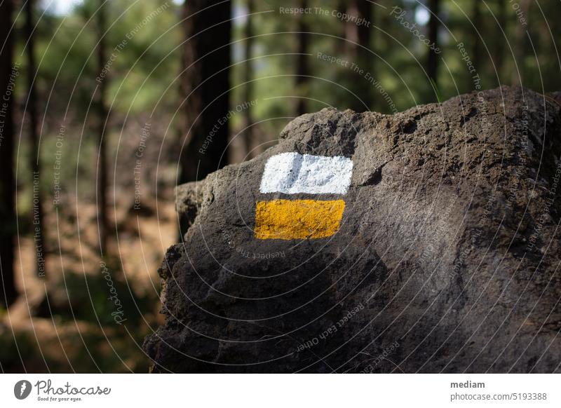 Wanderweg in Teneriffa Wandermarkierung Wandern Wandern in Teneriffa Trecking Outdoor Wanderung wandern wanderlust Wanderer Wanderausflug Kanaren Wegmarkierung