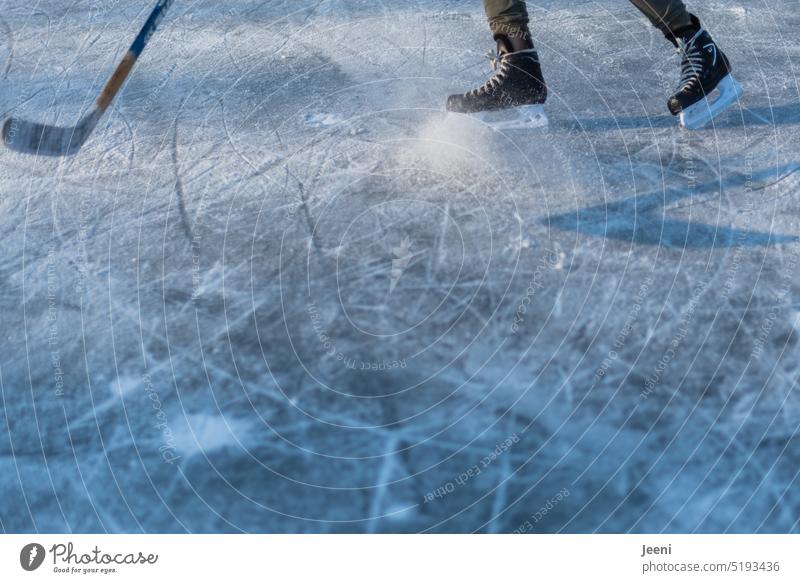 Eishockey im Winter Mensch Beine Schlittschuhlaufen Eishockeyschläger Jugend See Schnee Bewegung Spiel Spaß Wintersport Freizeit & Hobby Sport Spielen