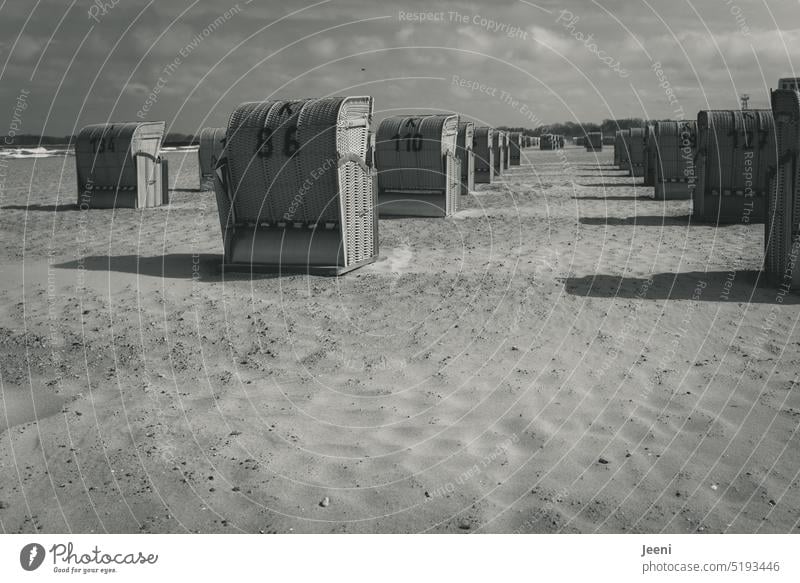 Viele Strandkörbe am Ostseestrand Strandkorb aufgereiht Ordnung ordentlich Sand Himmel Wasser Meer Küste nebeneinander System parallel gerade viele Symmetrie