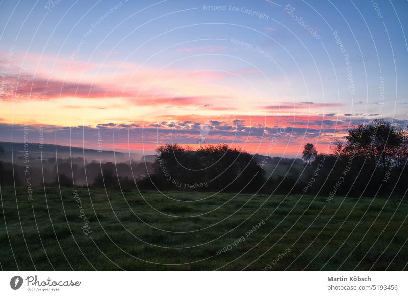 Sonnenaufgang über einem benachbarten Wald mit Wiese im Vordergrund. Weidelandschaft Natur brennender Himmel Dämmerung Nebel Märchenwald Herbstwald Bäume