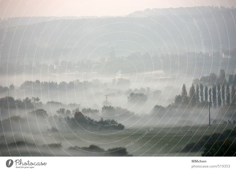 LandSchaft Ausflug Freiheit Expedition Umwelt Natur Landschaft Urelemente Herbst Grünpflanze Nutzpflanze Feld Ferne kalt oben trist Vorsicht Gelassenheit