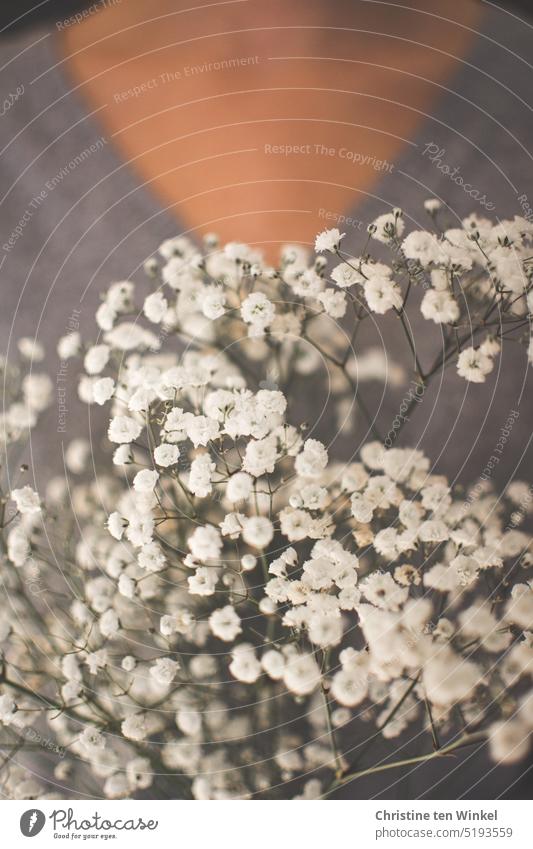 Schleierkraut Gysophila paniculata weiß romantisch Romantik zart Blume Blüte Tradition Feste & Feiern Geburtstag Muttertag Valentinstag Schwache Tiefenschärfe