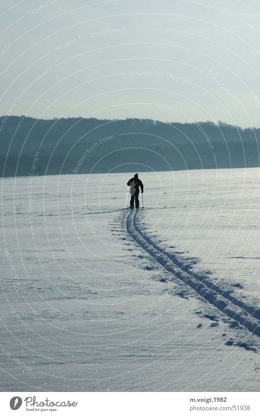 Langlauf Farbfoto Außenaufnahme Textfreiraum oben Textfreiraum unten Morgen Sonnenlicht Ferne Winter Schnee Winterurlaub Sport Skier Langläufer Mensch 1