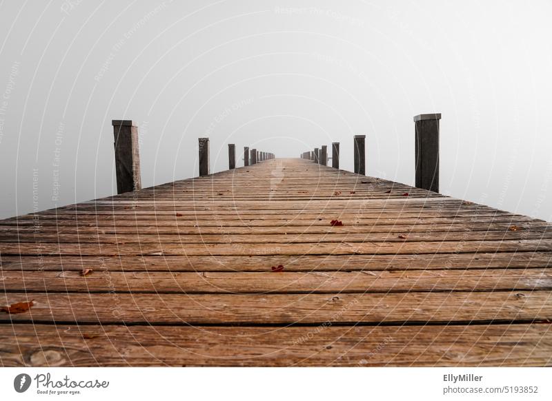 Holzsteg am See im Nebel. Der Weg ins Nichts. Steg Landschaft Idylle ruhig Nebelstimmung nebelig Nebelschleier Morgendämmerung Stimmung Menschenleer Morgennebel