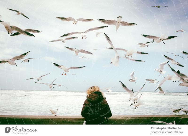 Birds flying high, you know how I feel. Möven schwärmen auf über einer blonden Frau am Meer vor Sizilien. Filmlook Tourismus warm Tourist Himmel Textfreiraum