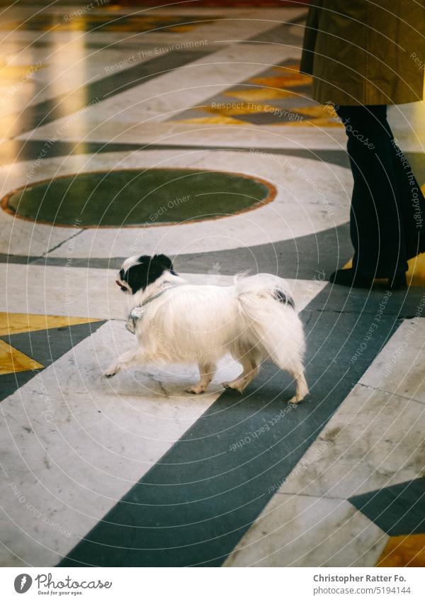 Elegance, Napoli, February 2022. Filmlook Tourismus warm Tourist Himmel Textfreiraum Urlaub Urlaubsstimmung Druck Poster cinematic ChristopherRatter Natur