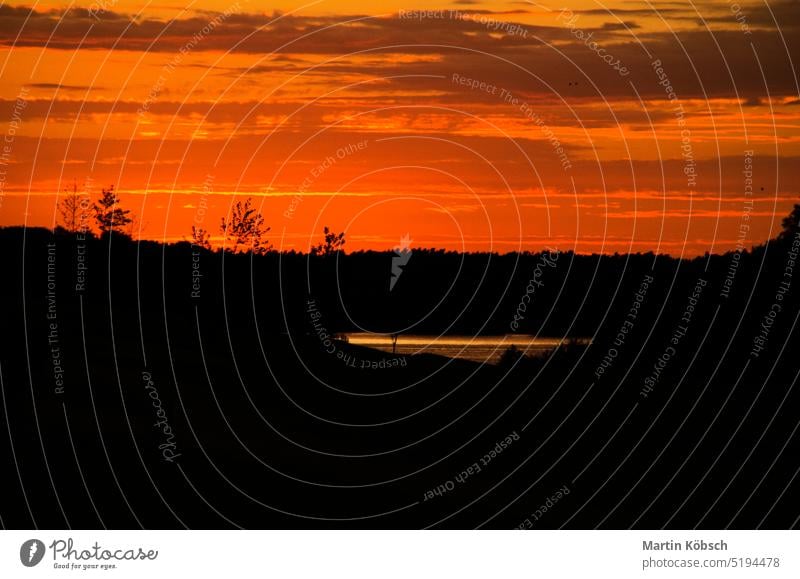 kräftiger Sonnenuntergang in rotem, gelbem und goldenem Licht. Wiese im Vordergrund Baum Herbst Laubwerk Glanz Schatten Naturpark Flora Urlaub malerisch Gras