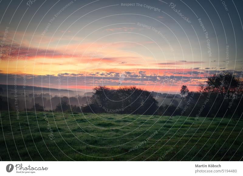 Sonnenaufgang über einem benachbarten Wald mit Wiese im Vordergrund. Weidelandschaft Natur brennender Himmel Dämmerung Nebel Märchenwald Herbstwald Bäume