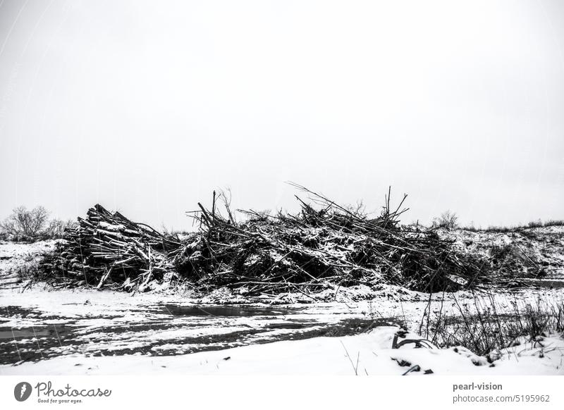 Holzhaufen im Winter Haufen Brennholz Sammlung Stapel Brennstoff Landschaft Natur Energie Vorrat Nutzholz Totholz Material natürlich Umwelt Baum Holzstämme