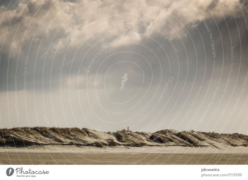 einsam Mensch feminin Junge Frau Jugendliche 1 Umwelt Natur Landschaft Sand Himmel Wolken Gras Dünengras Strand Nordsee St. Peter-Ording entdecken Erholung