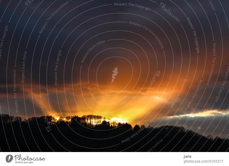 Sonnenuntergang im Spessartwald, mit dunkeln Wolken Sonnenstrahlen rot Wald Bäume Natur Licht Umwelt Baum Sonnenlicht Landschaft Farbfoto Menschenleer