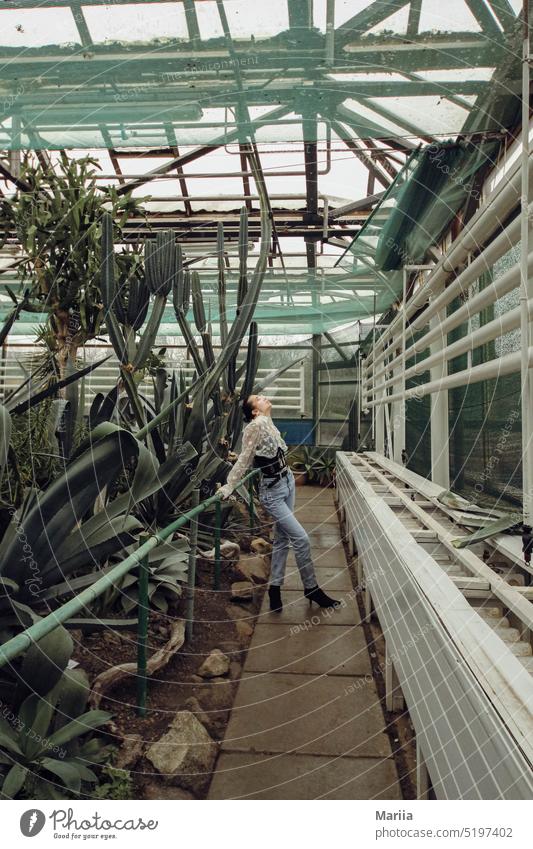 Mädchen im Gewächshaus mit Kaktus Frau wildes Mädchen Europäer Erwachsener Fenster warm Innenbereich Pflanzen Exotische Pflanzen Guave Sukkulenten grün Natur