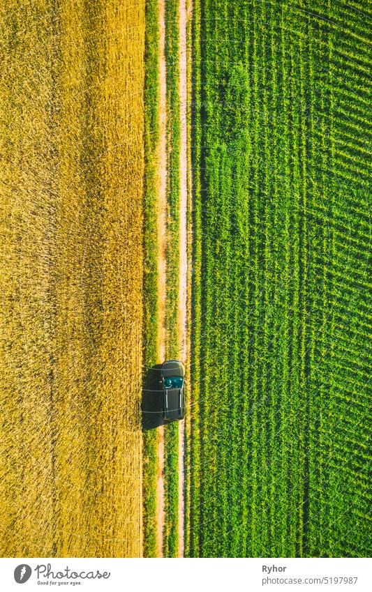 Luftaufnahme von Auto SUV geparkt in der Nähe von Landstraße im Frühjahr Feld ländliche Landschaft. Auto zwischen jungen Weizen und Maisplantage PKW 4wd oben