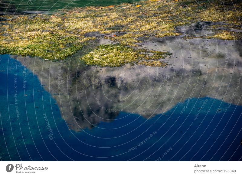 auf der Kippe | Wasserqualität Teich See Wasseroberfläche Alpen Spiegelung Berge u. Gebirge Algen Algenteppich Bergsee Himmel himmelblau Klimawandel
