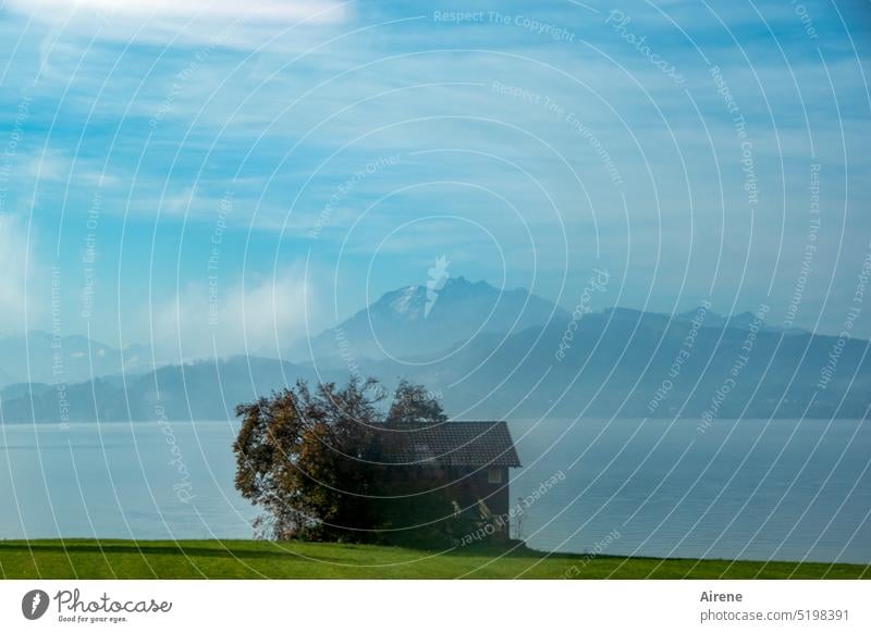 mit dem Zug am Zuger See - ja wo denn sonst? Seeufer Hütte Haus Einsamkeit ruhig Erholung Idylle blau Holzhaus Landschaft Menschenleer Schönes Wetter friedlich