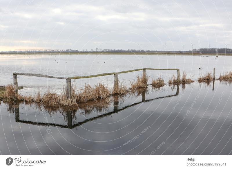 überschwemmte Moorwiesen. Ein Holzzaun, verdorrte Gräser und Wolken spiegeln sich im Wasser Überschwemmung Ochsenmoor Hochwasser Zaun Himmel Spiegelung Weite