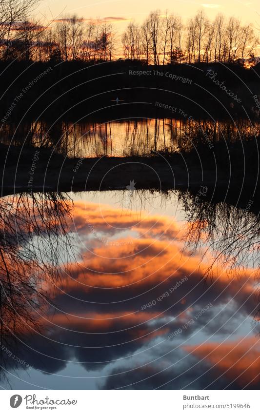 Himmel Wasser Erde Leben Natur Landschaft Umwelt Wolken Klima Luft Licht Schönes Wetter Urelemente Außenaufnahme Sonnenlicht Klimawandel Bäume Sonnenuntergang