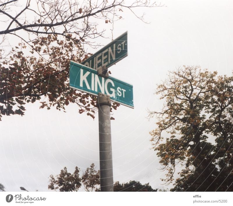 kings and queens Straßennamenschild Indian Summer Baum Blatt Schilder & Markierungen niagara on the lake