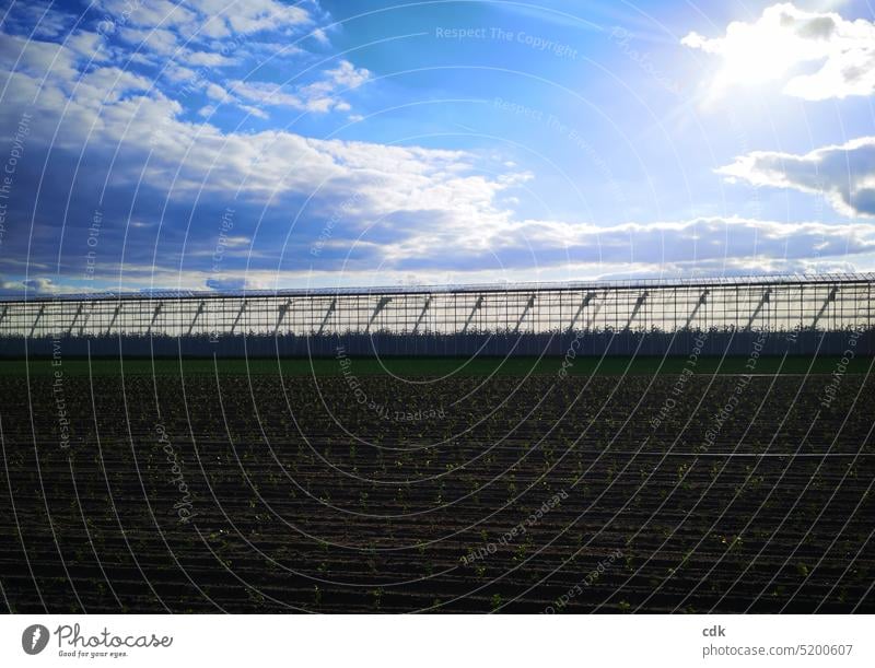 Gemüseanbaugebiet mit bepflanztem Acker und riesigen Gewächshäusern in der Abendsonne. Landwirtschaft Äcker Erde Ackerbau Landschaft Natur Feld Gewächshaus groß