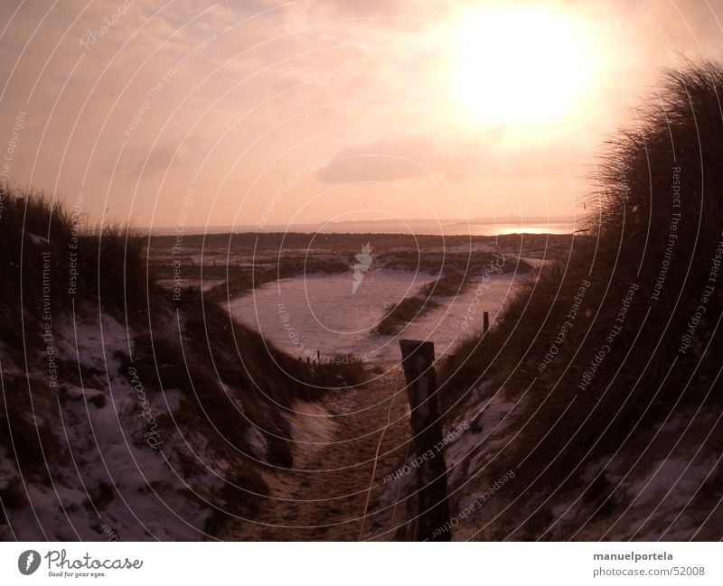 Ellenbogen Sylt Winter Sonnenuntergang rot Gras See Meer Ferien & Urlaub & Reisen Romantik Außenaufnahme Deutschland Insel Nordsee Schnee orange Wege & Pfade