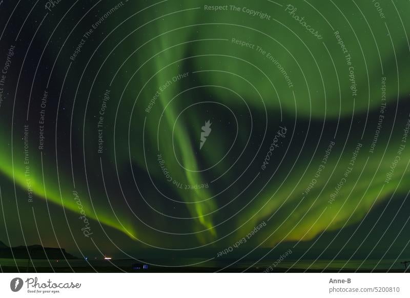 Nordlicht überm Fjord, es sieht aus wie eine große grüne Blume. Am Fjord steht ein Hangar aus dem blaues Licht sickert. Polarlicht Lichtspiel Aurora borealis