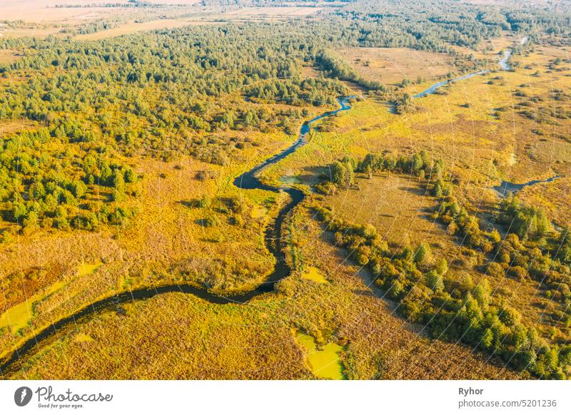 Luftaufnahme Grüner Wald Wälder und Flusslandschaft in sonnigen Sommertag. Top View of Beautiful European Nature From High Attitude In Summer Season. Drone Ansicht. Vogelperspektive Ansicht