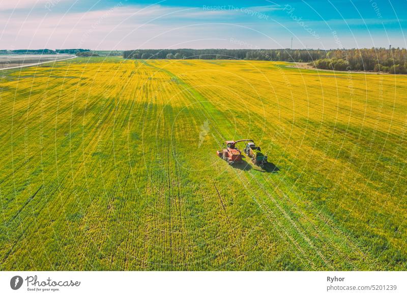 Luftaufnahme der ländlichen Landschaft. Mähdrescher und Traktor arbeiten zusammen auf dem Feld. Ernte von Ölsaaten im Frühjahr. Landwirtschaftliche Maschinen Sammeln Blühende Rapssamen Canola Raps. Erhöhte Ansicht