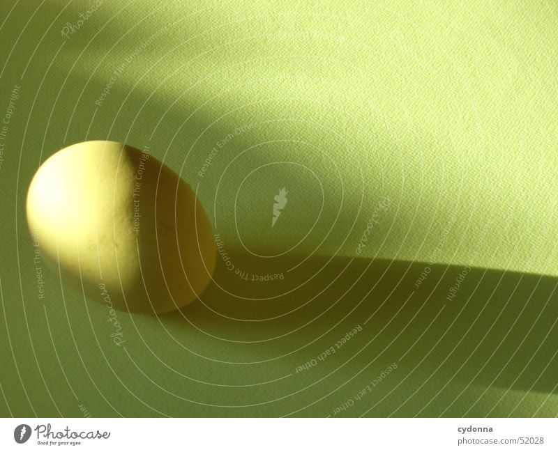 Ei des Kolumbus Stillleben Ostern Ernährung Lebensmittel Licht Produkt ökologisch Dinge Dekoration & Verzierung Schatten Natur