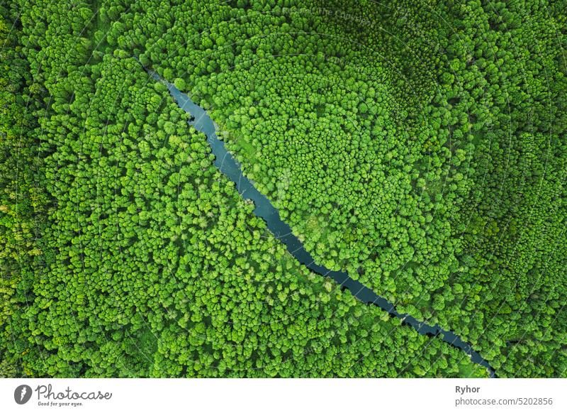 Erhöhte Ansicht der grünen kleinen Moor Sumpf Sumpf Fluss Feuchtgebiet und grünen Wald Landschaft im Sommer Tag. Attitude Ansicht. Wald in der Vogelperspektive