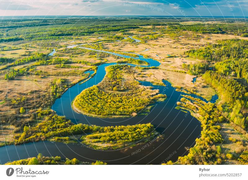 Luftaufnahme Grüner Wald Wälder und Flusslandschaft im sonnigen Frühling Sommer Tag. Top View of Beautiful European Nature From High Attitude In Autumn Season. Drone Ansicht. Vogelperspektive Ansicht