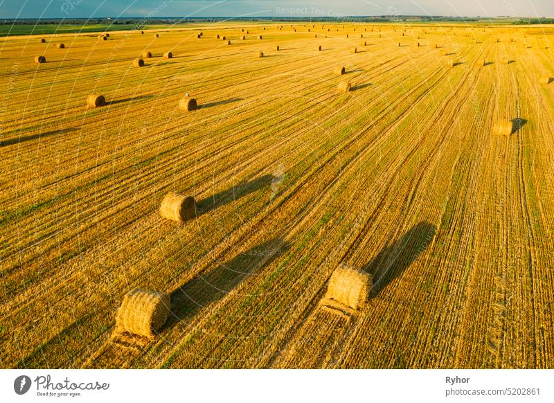 Luftaufnahme von Sommer Heu Rollen Stroh Feld Landschaft am Abend. Heuhaufen, Heu-Rolle in Sonnenaufgang Zeit fied Heugarben rollen trocknen Antenne