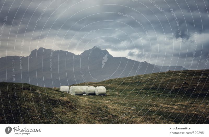 Winterproviant Umwelt Natur Landschaft Himmel Wolken Gewitterwolken Wetter schlechtes Wetter Wind Sturm Pflanze Gras Hügel Felsen Alpen Berge u. Gebirge Gipfel