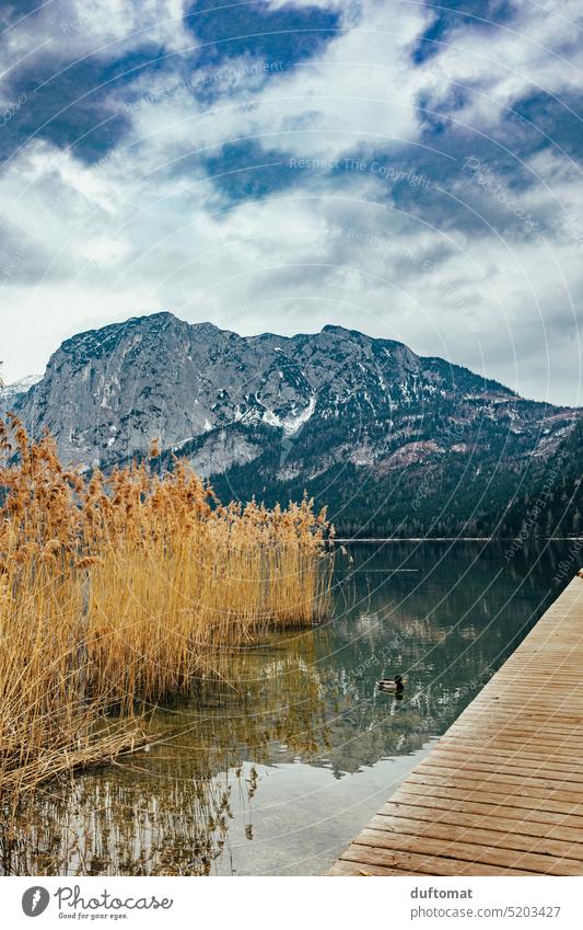 Seeufer im Gebirge mit Schilf und Wasserreflektion Berge Alpen Reflexion & Spiegelung Steg draußen draußensein outddor Stimmung Berge u. Gebirge Landschaft