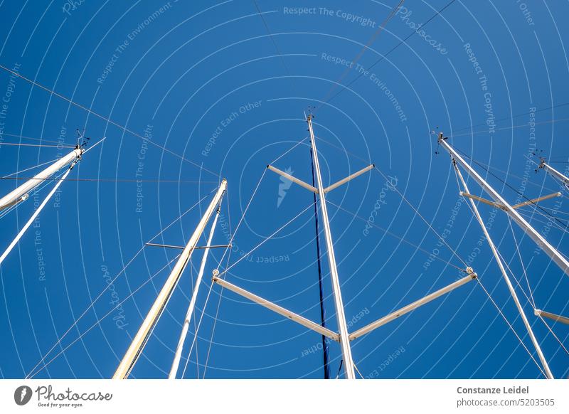 Treffen der Bootsmasten im Hafen. Bootsfahrt Wasser aufregend Leinen am wind himmelblau gutes Wetter Mast Fernweh Jacht Segeljacht Ferne Segeltörn Seegelboote