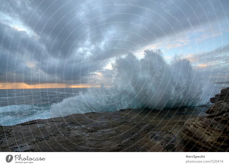 Morgenbrandung Natur Urelemente Wasser Himmel Wolken Wellen Küste Meer Sydney Australien Pazifik Pazifikstrand ästhetisch natürlich wild blau grau gewaltig