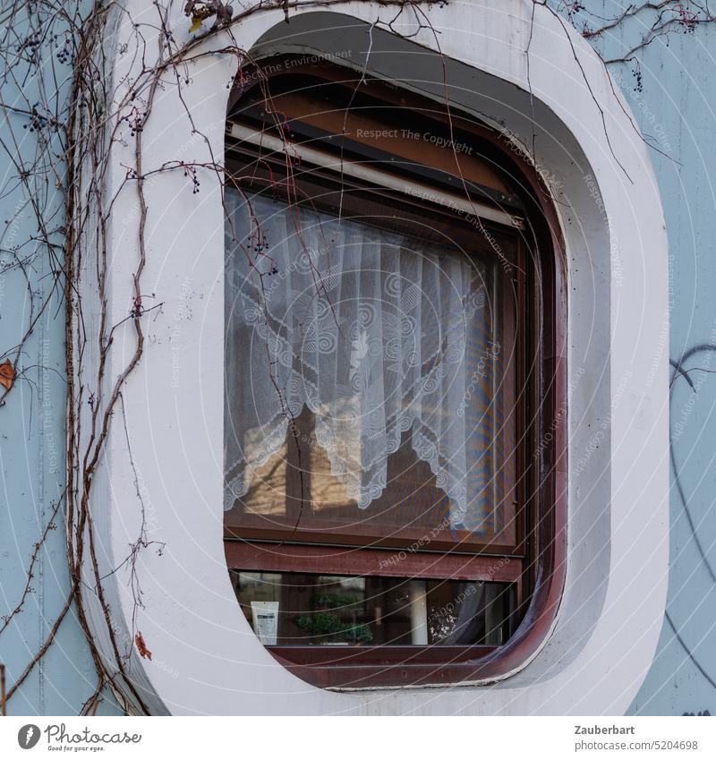 Fenster mit weißem Rahmen auf blauem Grund und Gardinen, runde Formen der 70er Jahre hellblau Kontrast Pflanzen Bewuchs moderne Architektur Ausblick Einblick