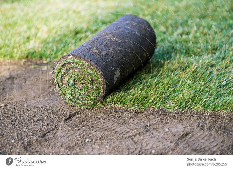 Den Garten schick machen für den Frühling- Rollrasen verlegen Rasen Gras grün auslegen Begrünung Wiese englischer Rasen Gartenarbeit Gärtner Außenaufnahme Park