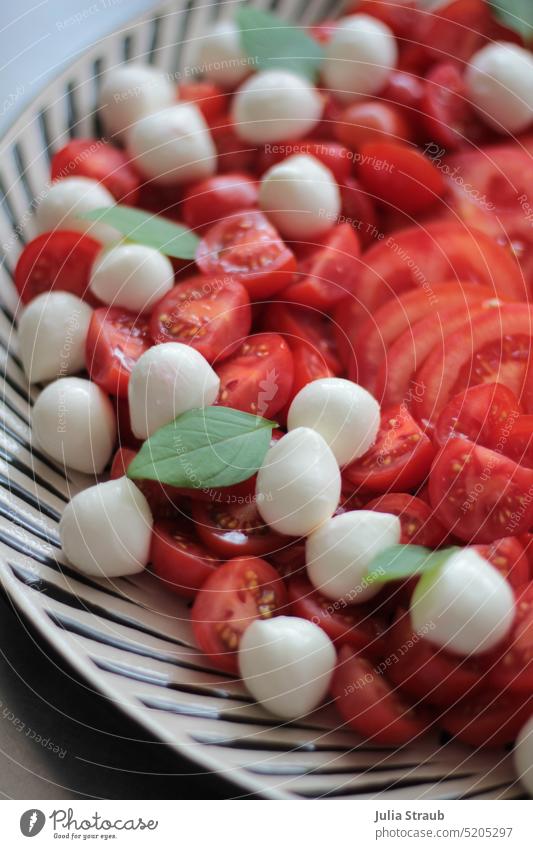 Tomate - Mozzarella Teller Tellerrand schwarz weiß gestreift Mozzarellakugeln Tomaten Basilikum rot Essen Salat Italienisch lecker Lebensmittel frisch Ernährung