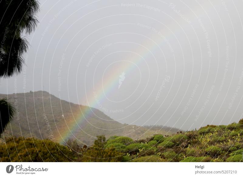 kunterbunt | dezenter Regenbogen über den Bergen von Teneriffa Landschaft Natur Naturschauspiel Naturerscheinung Baum Strauch Himmel Menschenleer Außenaufnahme