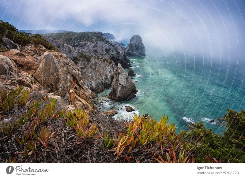 Zerklüftete Küstenlinie am Atlantik mit Morgennebel, Laub und dem Leuchtturm Cabo da Roca im Hintergrund in Sintra, Portugal Meer sonnig Tag Landschaft reisen