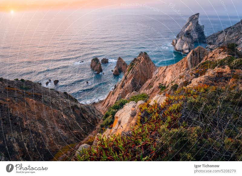 Praia da Ursa Strand bei goldenem Sonnenuntergang. Blumen im Vordergrund und surreale Szenerie. Sintra, Portugal, Europa. Atlantischer Ozean Küstenlinie Landschaft