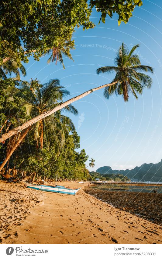 Goldener Sonnenuntergang Licht auf tropischen Strand. Bangka-Boot am Ufer unter Palme. Bucht von El Nido. Palawan. Philippinen schön Natur reisen Wasser golden