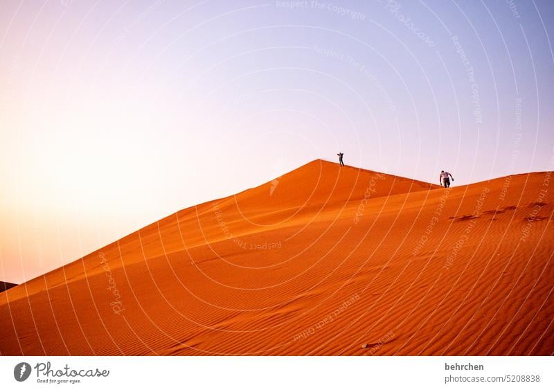 zwei zusammen allein dune 40 dune 45 stille sanddüne Dünen magisch beeindruckend besonders traumhaft Ferien & Urlaub & Reisen Natur Freiheit Abenteuer