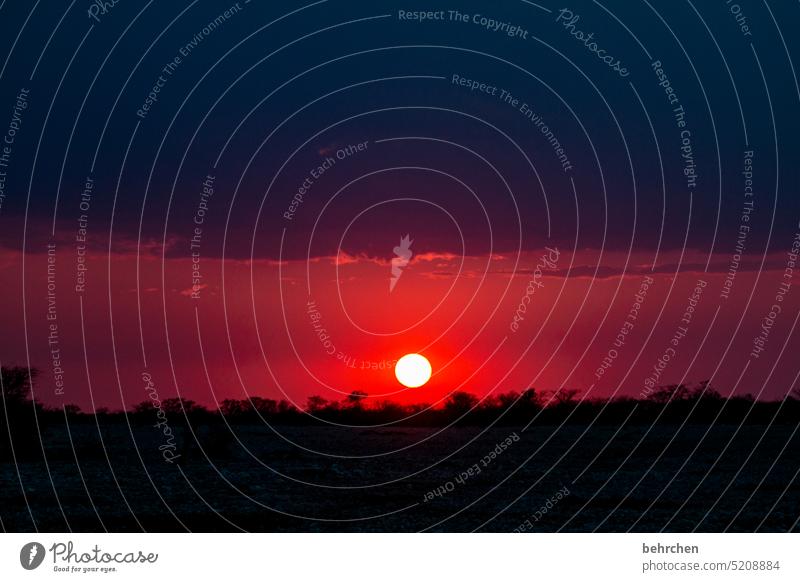 ein licht in der dunkelheit träumen fantastisch Dämmerung kitschig Romantik romantisch Sonnenball Sehnsucht Hoffnung Glaube Kitsch Sonnenuntergang Sonnenlicht